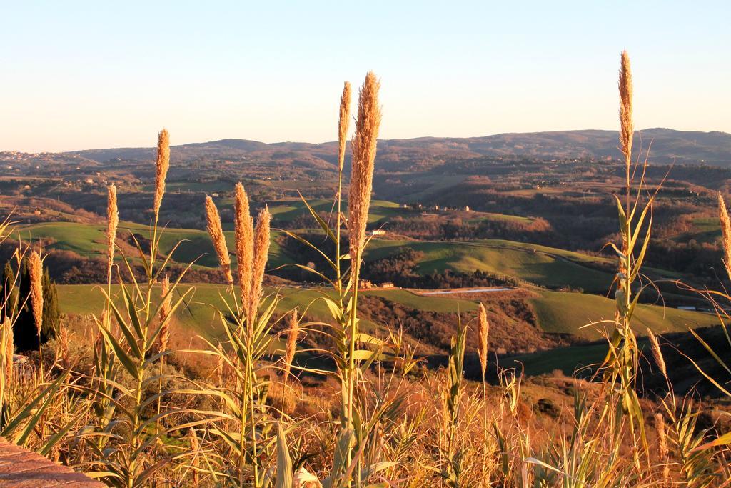 Agriturismo Le Docce Кастельфьорентино Экстерьер фото
